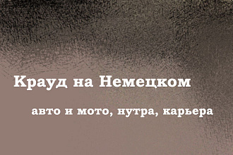 Крауд на Немецком под авто, нутра и карьера