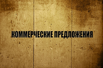Коммерческое предложение за 1 день