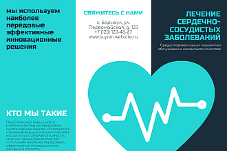 Инфографика
