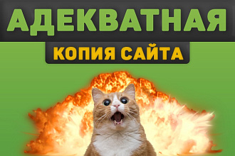 Скопирую и адаптирую лендинг под ваши нужды
