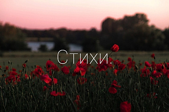 Напишу стихи на любую тематику