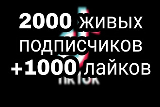 2000 живых подписчиков + 1000 лайков в Tik Tok