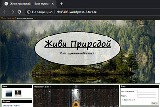 Создам скелет сайта WordPress
