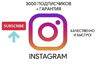 Привлечение 3000 подписчиков Instagram