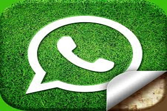 Разработка чат-бота WhatsApp