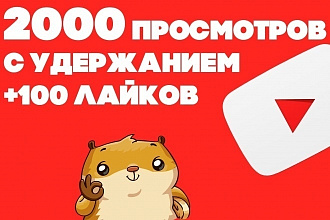 2000 просмотров на ютуб и 100 лайков под видео