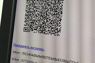Сопровождение составления Технического Задания на интеграцию систем