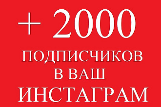 Добавлю 2000 подписчиков на ваш Инстаграм