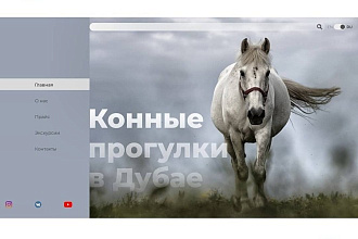 Помогу оформить ваш бизнес. Веб-дизайн и графический дизайн