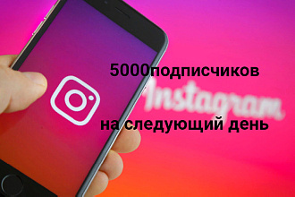 5000 подписчиков живых фоловеров