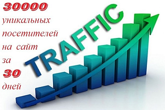30000 уникальных посетителей на сайт за 30 дней