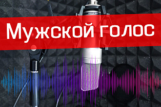 Студийная озвучка любой сложности