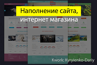 Наполнение сайта, интернет-магазина