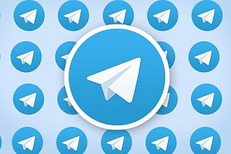 Подписчики telegram