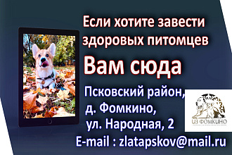 Видеопрезентации