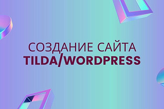 Создание сайта на Tilda или Wordpress