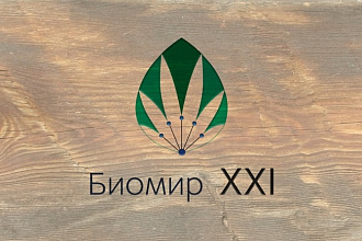 Разработаю логотип