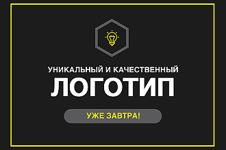 Уникальный и качественный логотип за 1 день