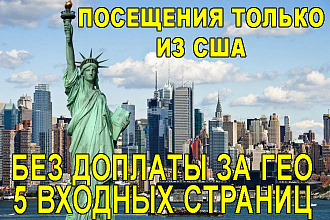 Посещения только из Америки США