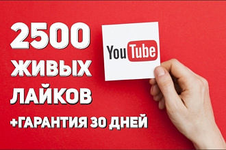 2500 живых лайков в YouTube канал. Без ботов