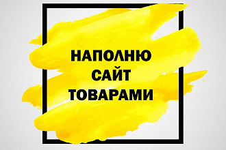 Ручное наполнение интернет-магазина товарами