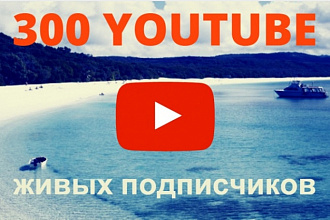 300 подписчиков на ютуб канал