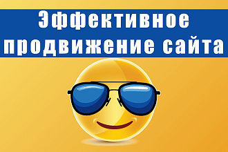 Комплексное и эффективное продвижение сайта