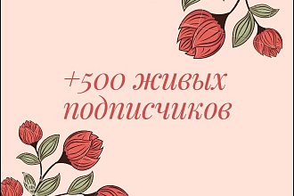 Привлечение живых подписчиков 500 человек