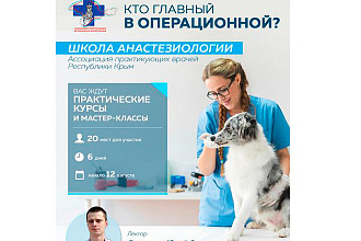 Оформление постов в соц сетях