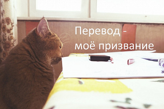 Качественный перевод с немецкого языка на русский