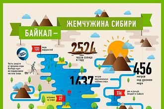 Сделаю инфографики