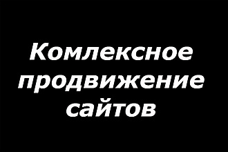 Комплексное продвижение сайта