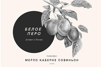 Сделаю 3 логотипа за короткий срок