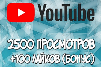 2500 Живых просмотров, гарантия 30 дней, бонус 100 лайков