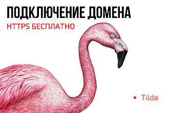 Подключение домена - тильда