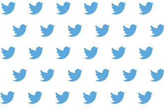 Продвижение в Twitter подписчики, +100 фолловеры Твиттер