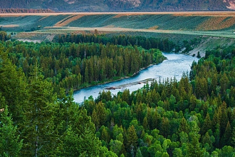 Сделаю логотип вашей фирмы по вашему предпочтению