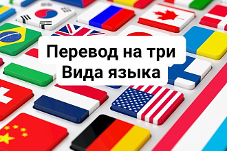 Занимаюсь переводом с русского на английский, немецкий,французский