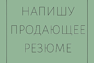 Напишу качественное резюме