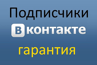 Подписчики Вконтакте 1000