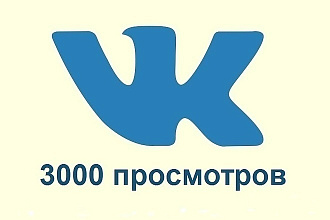+3000 Просмотров на пост ВК