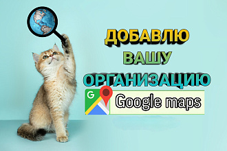 Добавлю Вашу организацию на Google карты