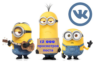 12000 просмотров поста Вконтакте