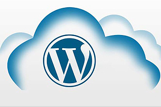 Настройка и доработка сайта на Cms WordPress