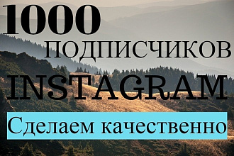 1000 русскоязычных инстаграм подписчиков