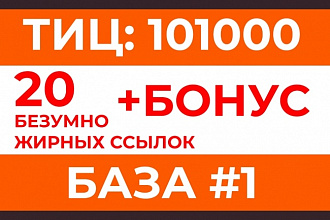 20 безумно жирных ссылок. Общий ТИЦ 101000