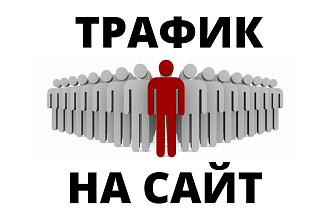 Трафик на сайт с трастовых ресурсов - реальные посетители