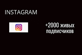 Живые подписчики в инстаграм