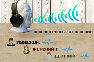 Озвучка разными голосами. Мужской, женский и детский