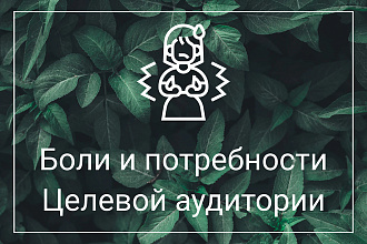 Выявление болей и потребностей целевой аудитории